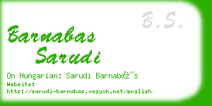 barnabas sarudi business card
